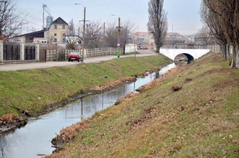 Oradea de mâine: Până în 2030 fabricile părăsite ar trebui să devină parcuri, iar pistele de biciclete să acopere întreaga urbe